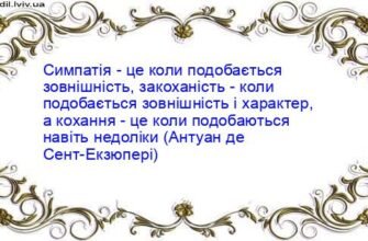 Що таке симпатія: визначення, прояви та вплив на стосунки