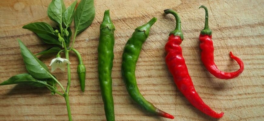 Як вживання острого перцю може покращити здоров’я жінок?