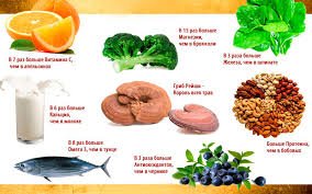 Що лікує гриб рейші: корисні властивості для здоров’я та імунітету Що лікує гриб рейші: корисні властивості для здоров’я та імунітету