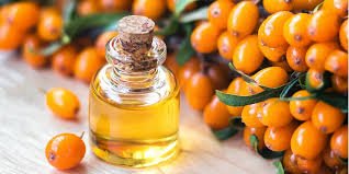 Що лікує обліпихова олія: властивості та користь для здоров’я
