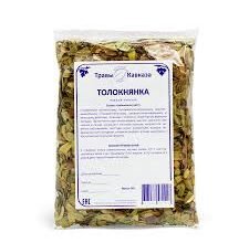 Що лікує толокнянка: корисні властивості та застосування рослини