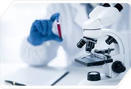 Мієломна хвороба: ефективна лабораторна діагностика Мієломна хвороба: ефективна лабораторна діагностика