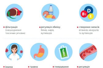 Алкогольна хвороба печінки: симптоми, які не можна ігнорувати