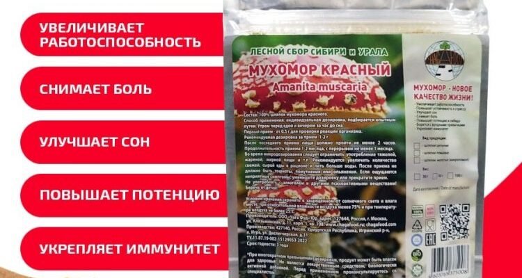 Чи корисні сушені мухомори? Користь і шкода для здоров’я