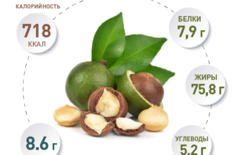 Чим корисна макадамія для жінок? Відкрийте секрети здоров’я!