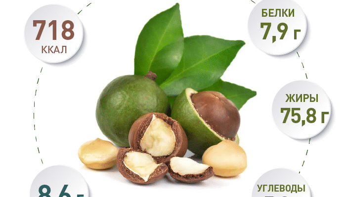 Чим корисна макадамія для жінок? Відкрийте секрети здоров’я! Чим корисна макадамія для жінок? Відкрийте секрети здоров’я!