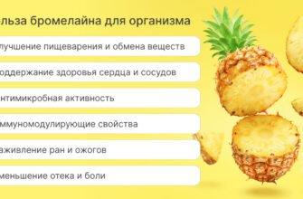 Бромелайн: користь і шкода. Що варто знати про цей фермент?