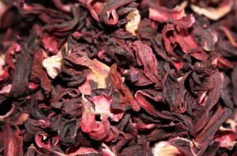 Користь і шкода каркаде: які секрети приховує напій?