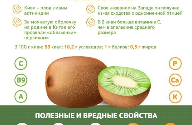 Ківі: користь і шкода для здоров’я – все, що треба знати