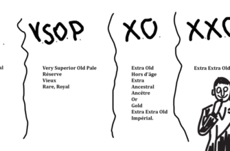 Чим відрізняються бренді і коньяк: різниця між напоями?