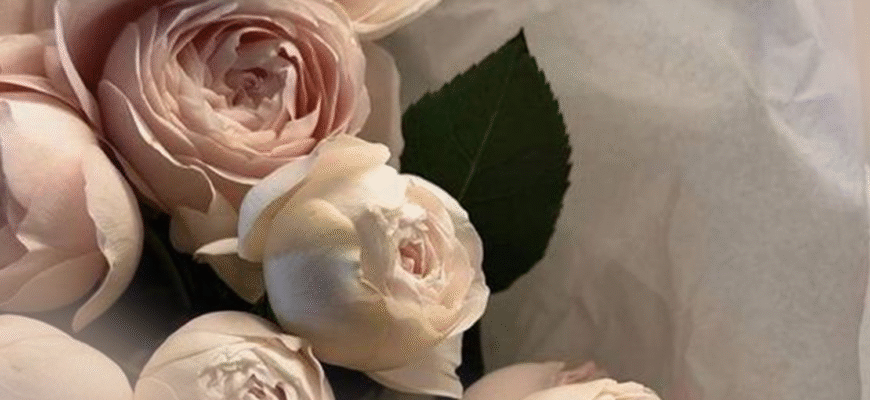 Вітання з днем народження коханій: ніжні слова для особливого дня