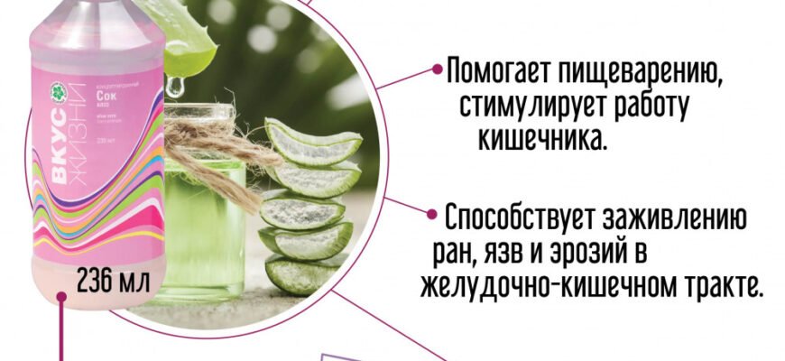 Користь соку алое: як застосовувати для здоров’я та краси?