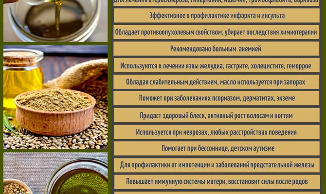 Чи корисне масло коноплі? Вивчаємо переваги та користь продукту