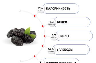 Чернослив: користь і шкода для здоров’я – що слід знати?
