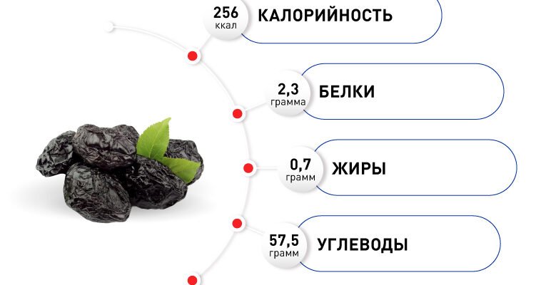 Чернослив: користь і шкода для здоров’я – що слід знати? Чернослив: користь і шкода для здоров’я – що слід знати?