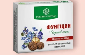 Чорний горіх: що він лікує та як його використовувати для здоров’я