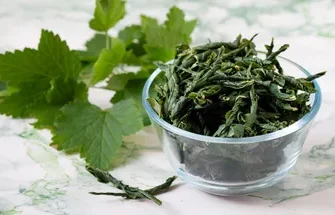 Чай из листьев винограда польза и вред: вивчення всіх аспектів