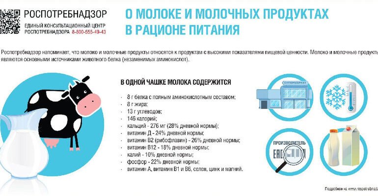 Який вплив має молоко: користь і шкода для вашого здоров’я?