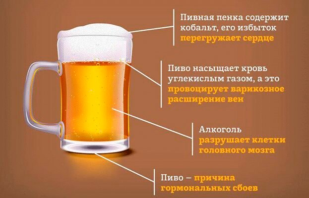 Як пиво впливає на здоров’я: користь від вживання помірних доз?