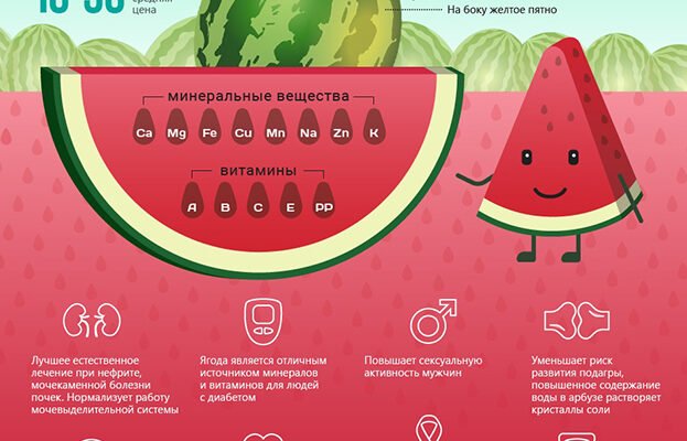 Арбуз: користь та шкода для здоров’я — що потрібно знати?