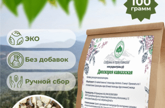 Чим корисна діоскорея кавказька і які має можливі негативні ефекти?