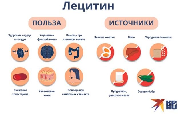 Лецитин польза: Які переваги для здоров’я приносить вживання?