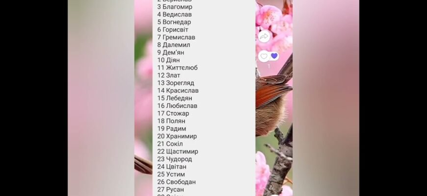 Хто знає значення старовинних чоловічих імен? Розкрийте таємниці!