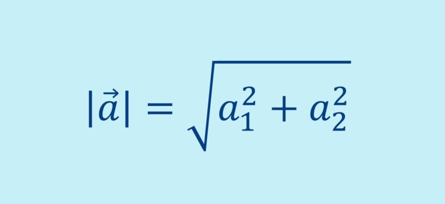 Як знайти модуль вектора: Формула та приклад розрахунку Як знайти модуль вектора: Формула та приклад розрахунку