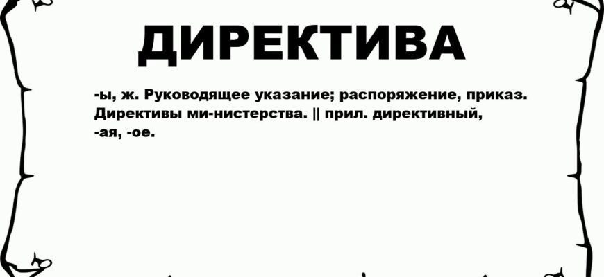 Що таке директива: визначення, призначення та область застосування
