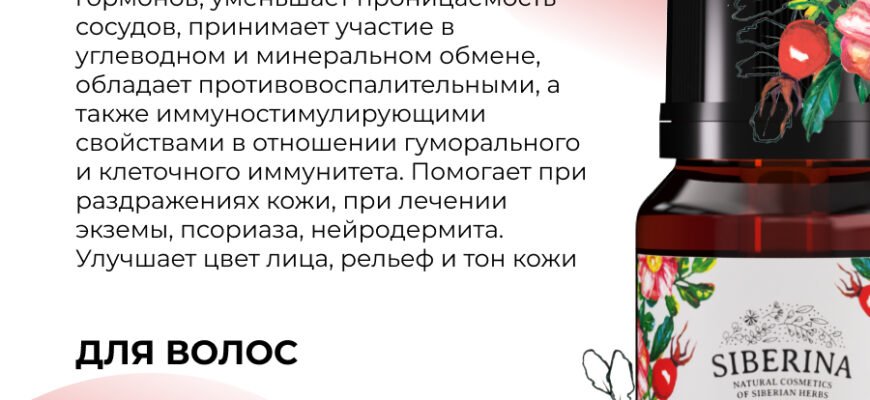 Чим корисне масло шиповника: користь для здоров’я та краси