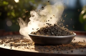 Що таке прах: визначення, значення та використання терміну