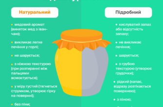 Як перевірити мед на цукор: прості способи для домашньої перевірки