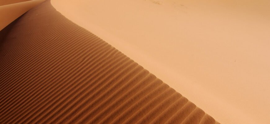 Що таке дюна: визначення, формування та важливість середовищу