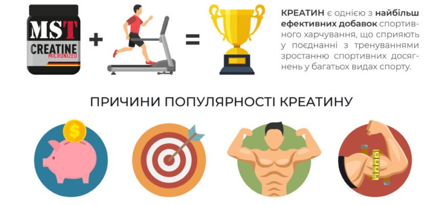 Чи є користь від креатину?: Дослідження та наукові факти