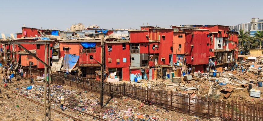 Що таке нетрі: визначення, причини та їх особливості Що таке нетрі: визначення, причини та їх особливості
