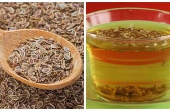Лікувальні властивості насіння кропу: що вам потрібно знати