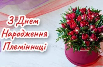 Найкращі Привітання для Племінниці з Днем Народження 2023 – 79000.com.ua