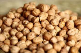 Чим корисний та шкідливий нут: повний огляд користі та ризиків