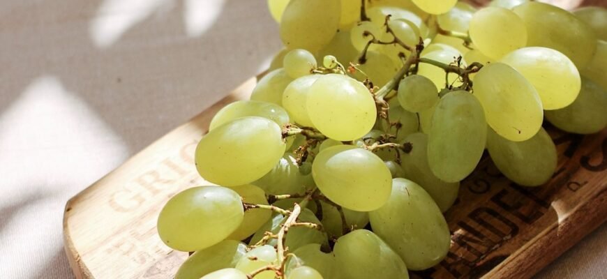 Яка користь винограду для жінок: вітаміни, антиоксиданти та ефекти? Яка користь винограду для жінок: вітаміни, антиоксиданти та ефекти?