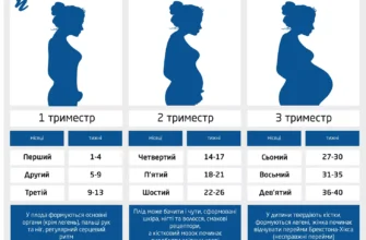 Болить живіт при вагітності: основні причини та поради