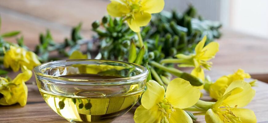 Яка користь примули вечірньої і як її застосовувати?