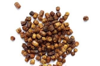 Що таке перга: властивості, користь та застосування продукту