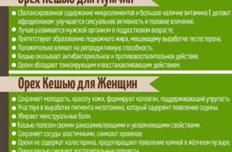 Чи корисні кешью для жінок: вивчаємо користь та здоров’я