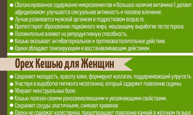 Чи корисний орех кешью? Досліджуємо користь та шкоду продукту Чи корисний орех кешью? Досліджуємо користь та шкоду продукту