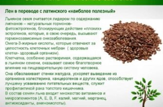 Як приймати насіння льону: користь і рекомендації вживання
