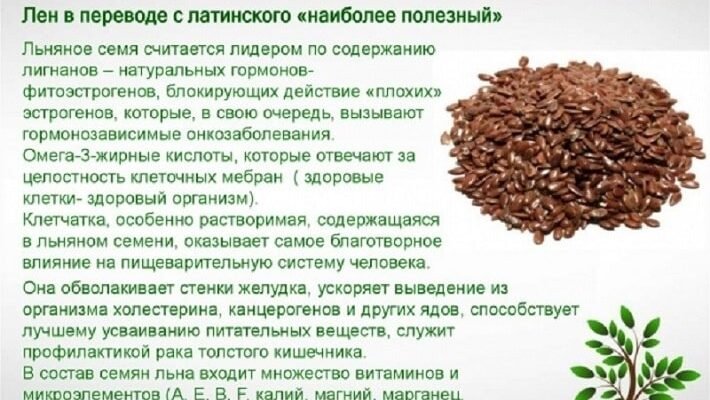 Як приймати насіння льону: користь і рекомендації вживання Як приймати насіння льону: користь і рекомендації вживання
