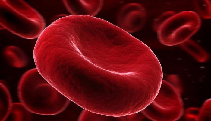 Що робити, якщо ШОЕ підвищене у дитини: причини та дії Що робити, якщо ШОЕ підвищене у дитини: причини та дії