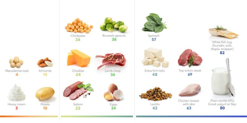 Які продукти належать до білкових: повний список і опис Які продукти належать до білкових: повний список і опис