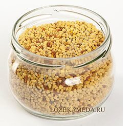 Пчелиная пыльца: польза для мужского здоровья и энергии? Пчелиная пыльца: польза для мужского здоровья и энергии?