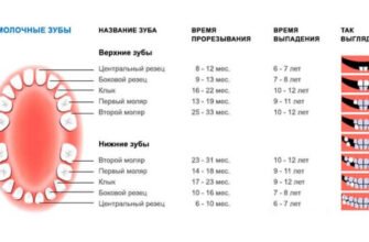 Скільки зубів у дитини в 1 рік: розвиток зубного ряду малюка